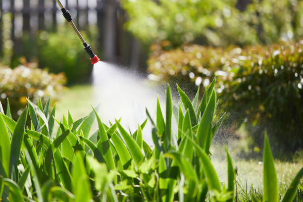 24/7 Emergency Ant Control experts in Miami, OK